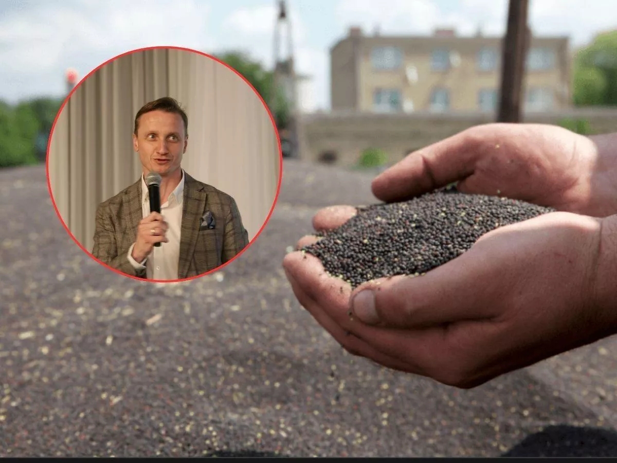 Rzepaku zabraknie dla polskich tłoczni? PSPO ostrzega: najgorsze dopiero przed nami