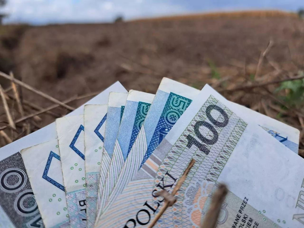 pole, na dole banknoty polskie