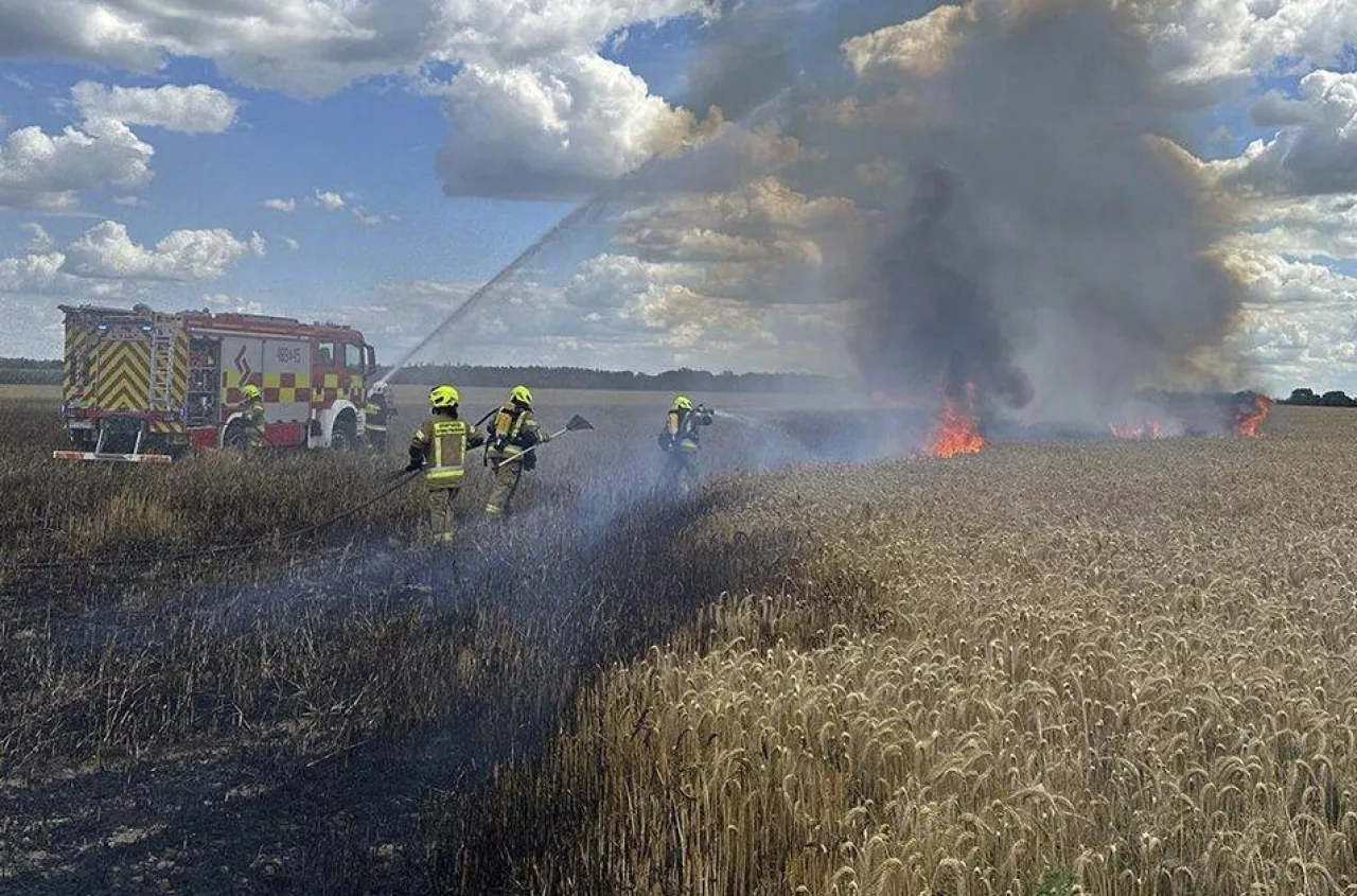 2 hektary zboża na pniu spłonęły pod Kościanem. Uratowano gospodarstwo