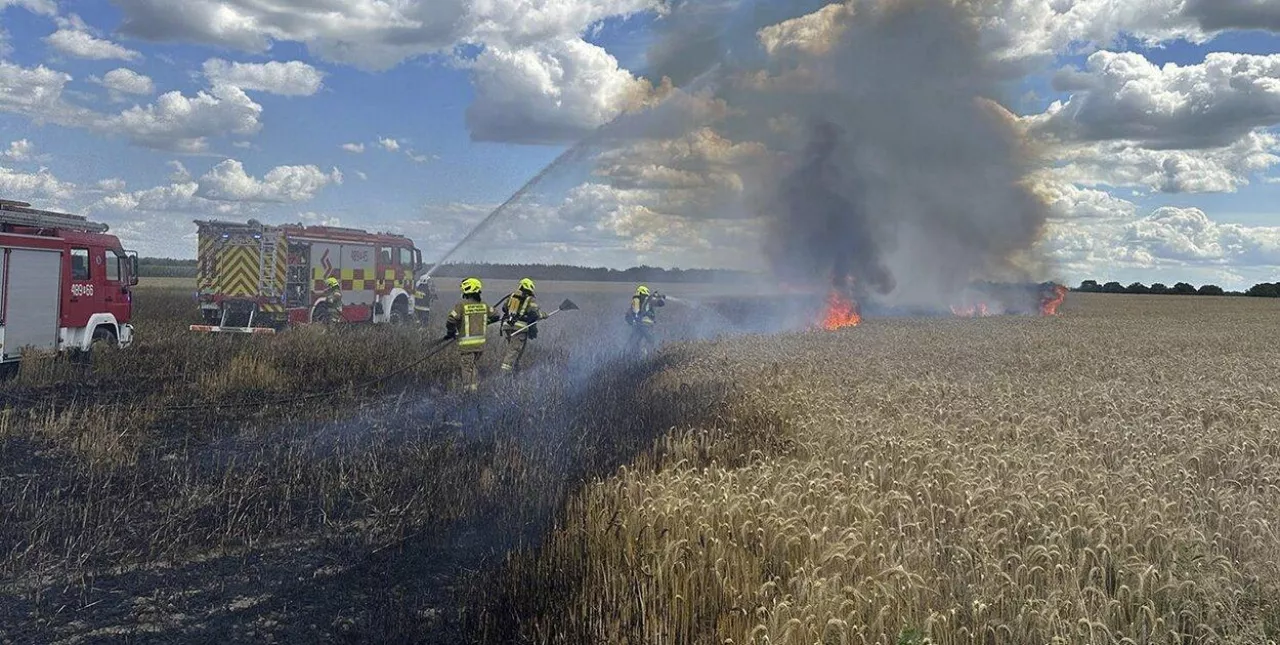 Pożar pochłonął blisko dwa hektary zboża na pniu
