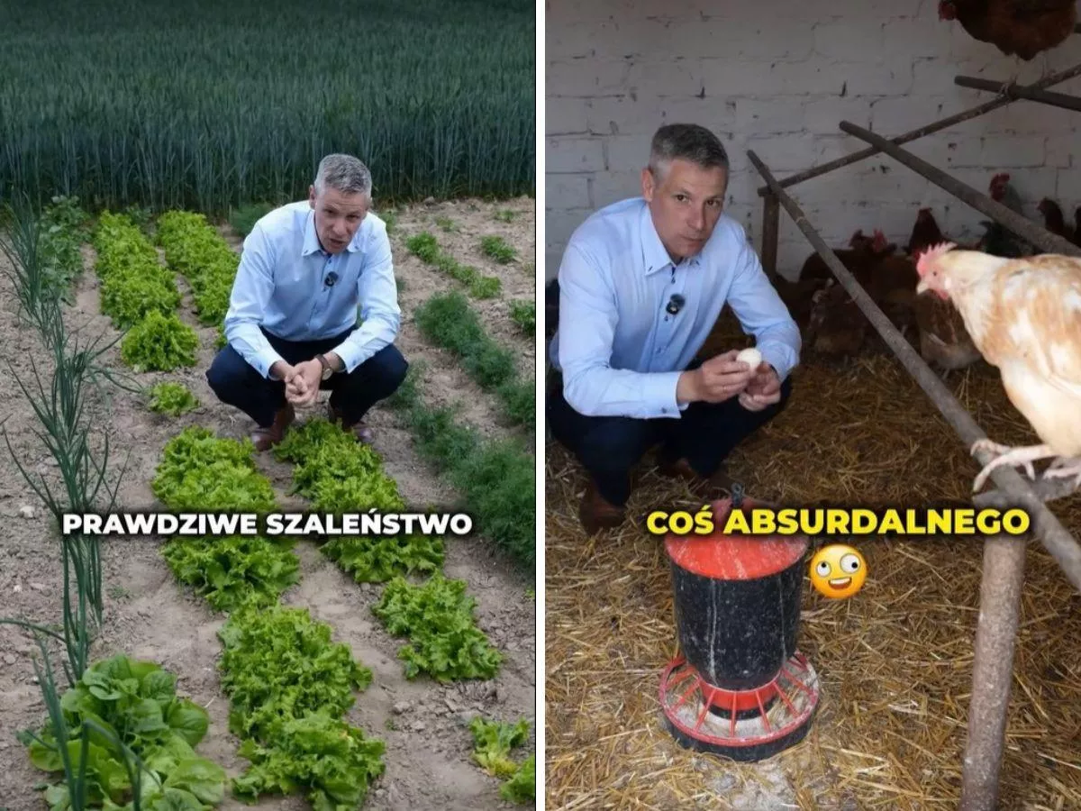 Pokazał jajka od rolnika i obnażył absurd. „Rolnik zarabia mniej, klient płaci więcej”