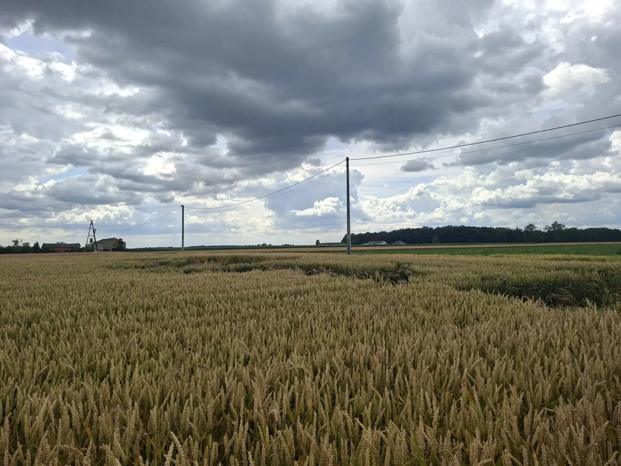 Przetargi ofertowe to dla wielu rolników, którzy posiadają gospodarstwa w pobliżu państwowych gruntów, jedyna możliwość na powiększenie areału. Jest to szczególnie ważne dla rolników z takich województw, jak: zachodniopomorskie, dolnośląskie, warmińsko-mazurskie, lubuskie, pomorskie, kujawsko-pomorskie czy opolskie