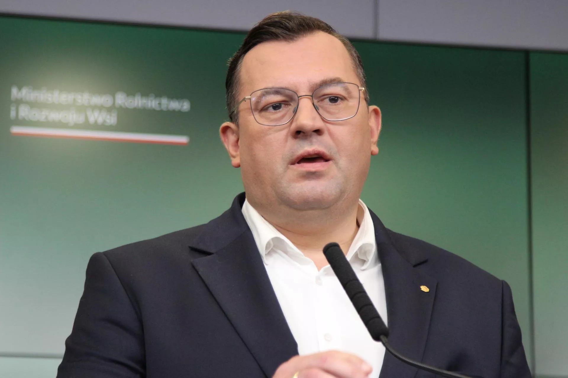 100 zł do każdej świni? Minister: „Chcemy dać wędkę zamiast ryby”