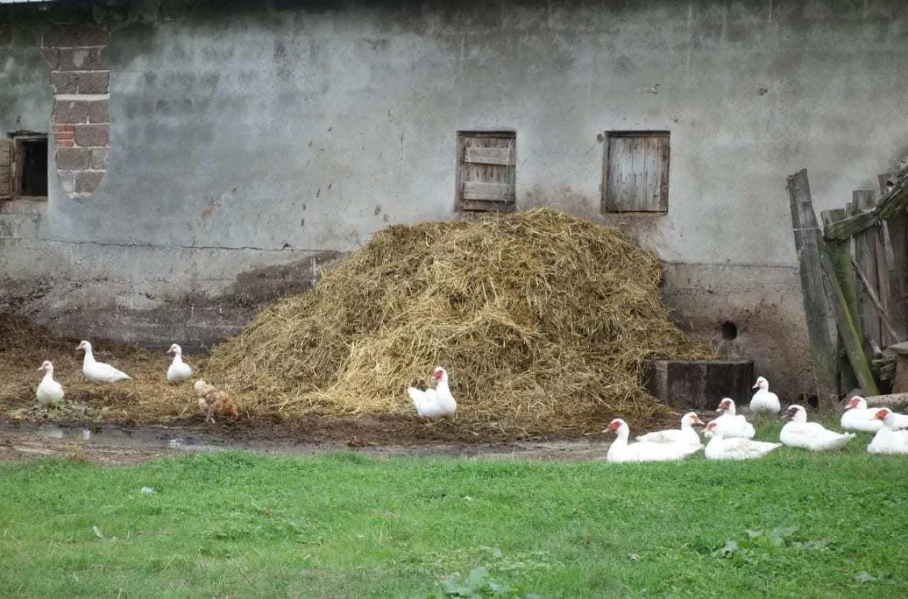 KE szykuje zmiany dla rolników. Będą uproszczenia w nawożeniu azotem