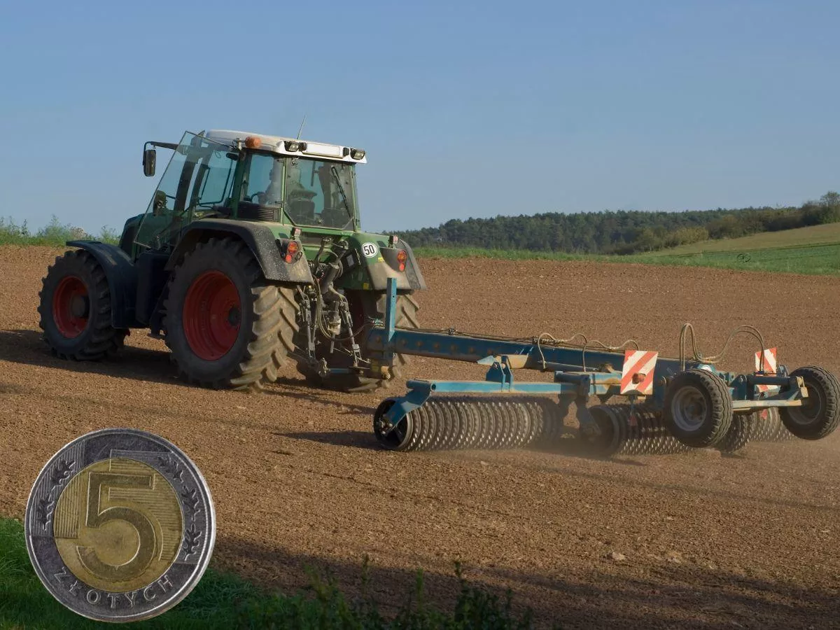 150 hektarów, magazyny i silosy. KOWR wystawił gospodarstwo na sprzedaż