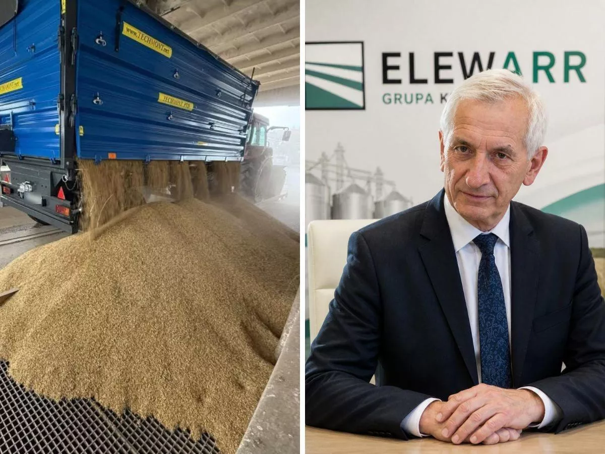 Prezes Elewarr: ceny zbóż do końca roku mogą wzrosnąć o 50–70 zł/t