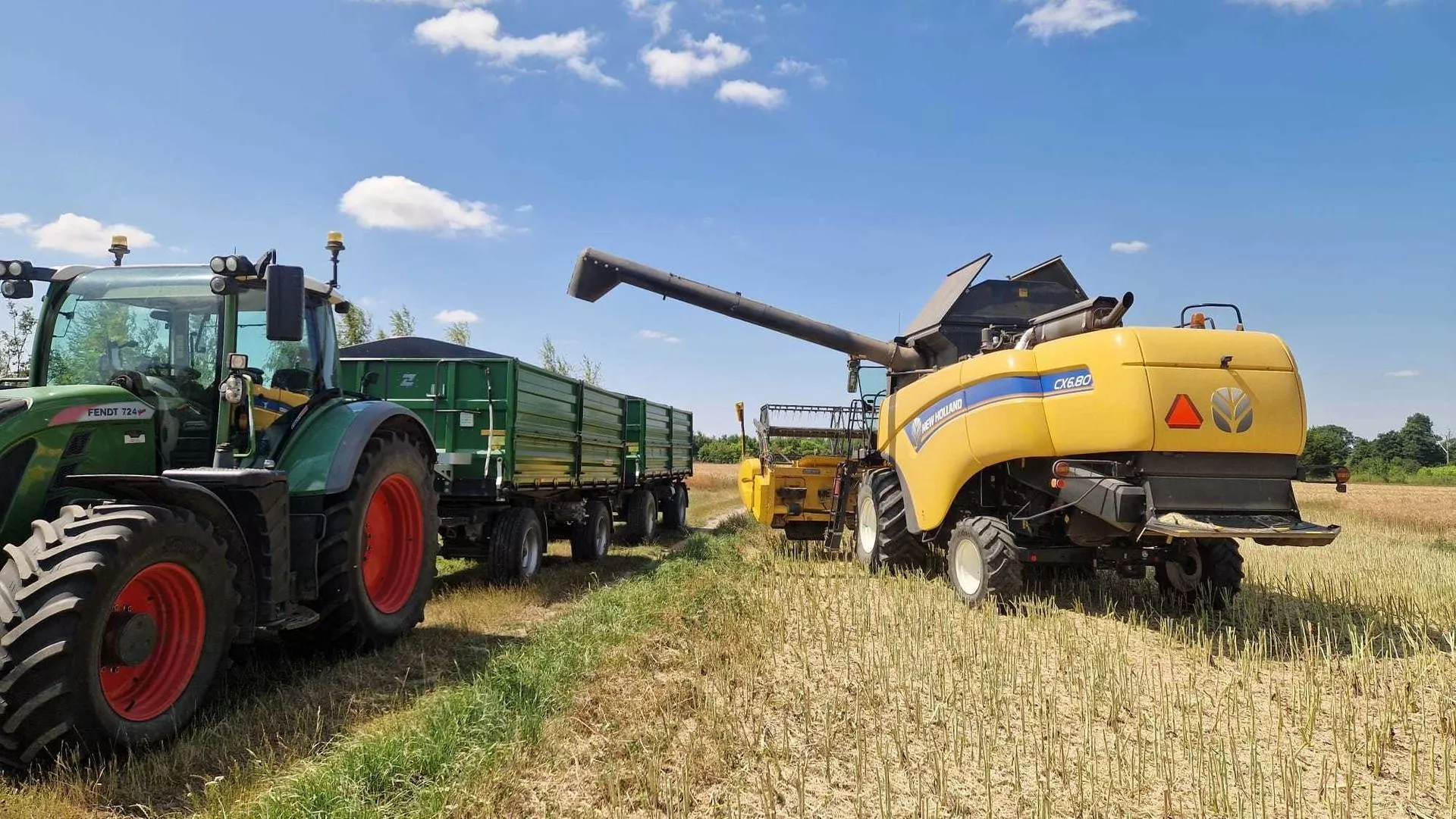 Eksperci alarmują: polskiego rzepaku zabraknie. Import będzie konieczny