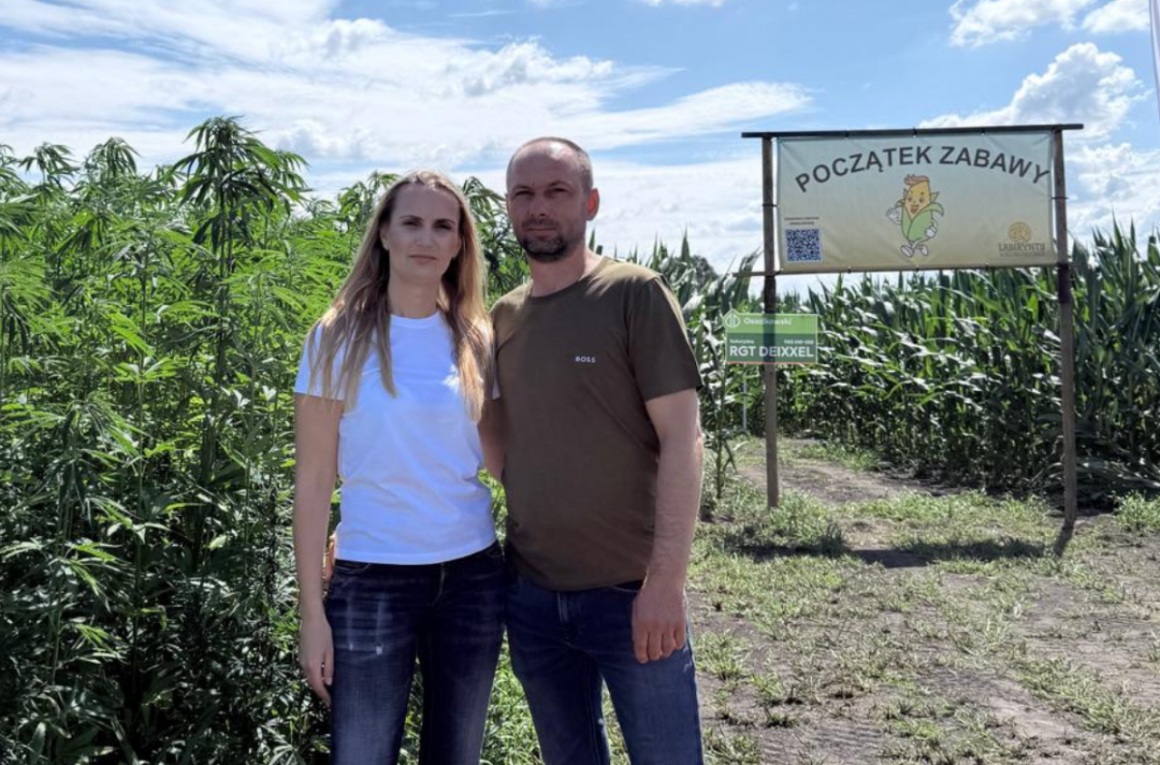 Ma 220 ha, ale na zbożu nie zarabia. Postawił na labirynt w kukurydzy