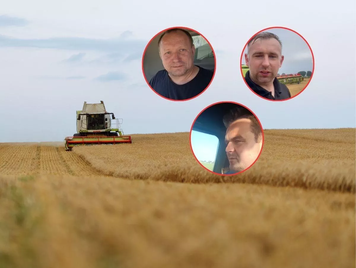 „Zamiast dożynek, będą dorzynki”. Rolnicy: myślimy tylko o tym, czy przetrwamy