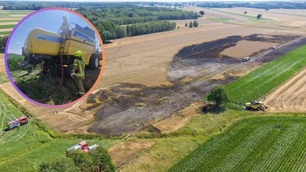 Zdjęcia lotnicze pokazują skalę pożaru