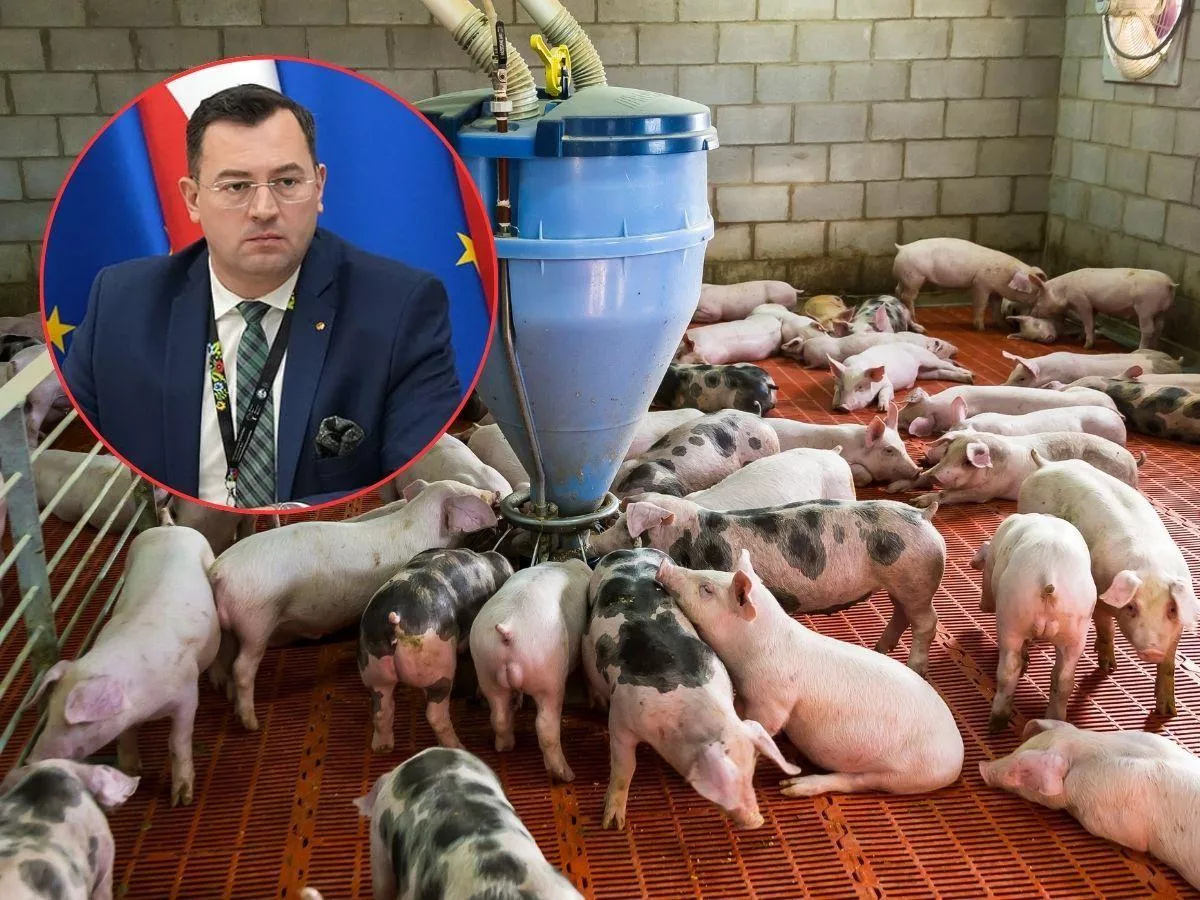 Minister rolnictwa prosi KE o pomoc dla polskich rolników. „Ceny wciąż spadają”