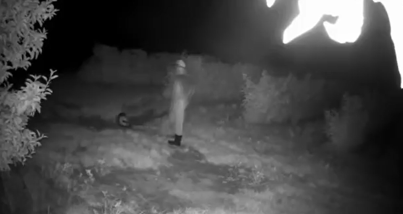 Skok na plantację malin jak z filmu. Najpierw zwiad, potem kominiarki