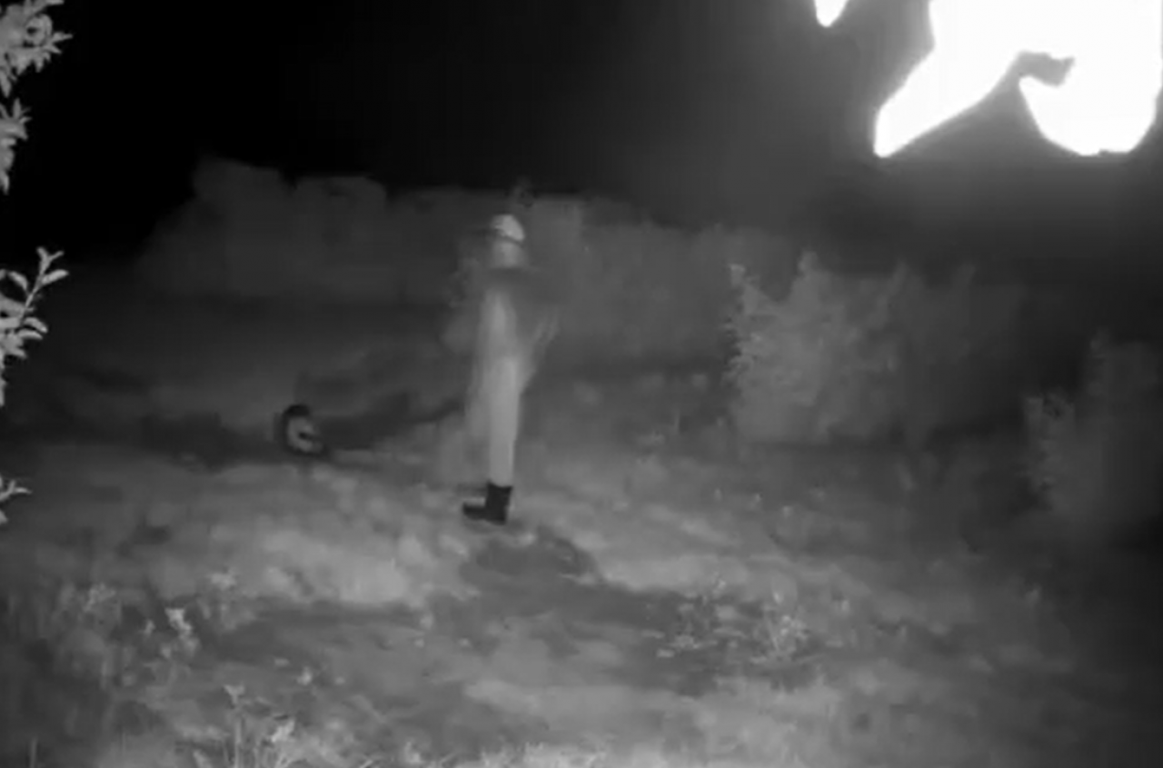 Skok na plantację malin jak z filmu. Najpierw zwiad, potem kominiarki