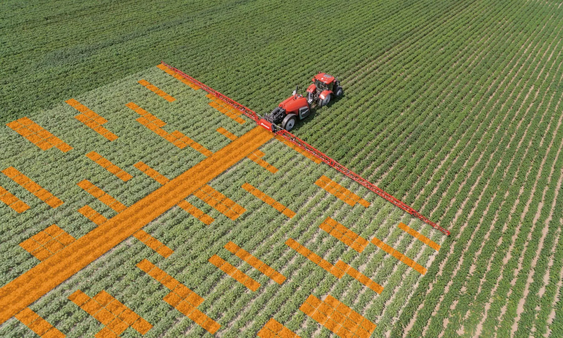 Ochrona roślin sterowana sztuczną inteligencją. Kverneland przedstawia DAT EcoPatch