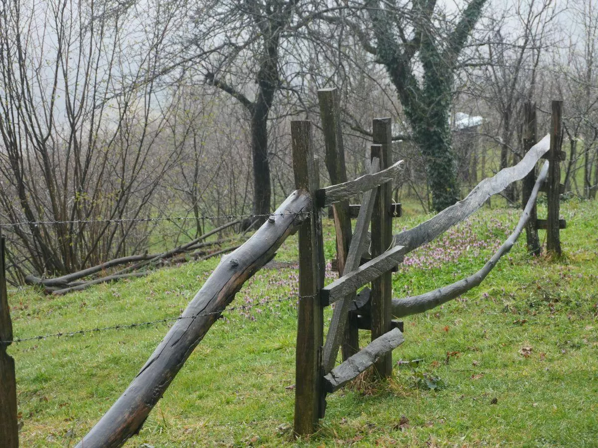 Brzydki płot sąsiada? Tylko w tych przypadkach możesz żądać jego usunięcia