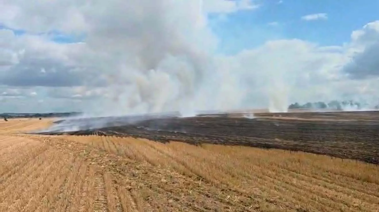 15 hektarów pszenicy poszło z dymem w kilka chwil