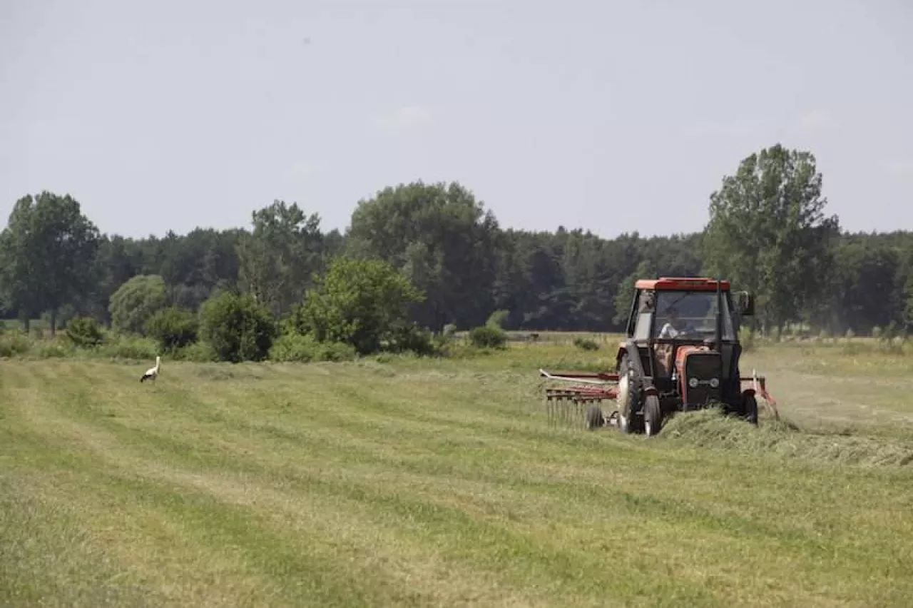 pole, łąka, maszyna rolnicza