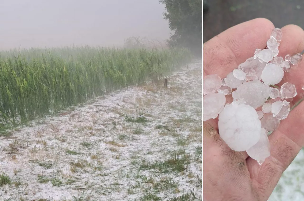 Nawałnica zniszczyła uprawy? Bez tych dowodów możesz stracić dopłaty