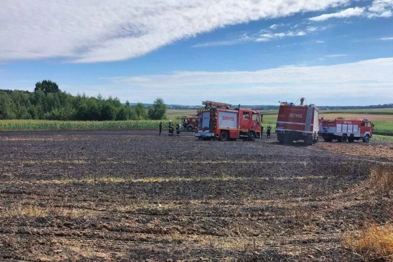 4 pożary i blisko 3,7 ha w ogniu. Czarna seria podczas żniw pod Zamościem