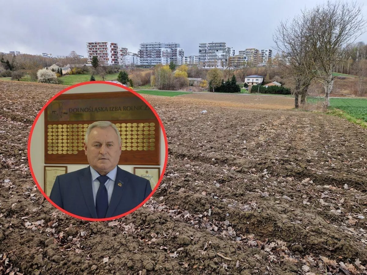 Rolnicy muszą pilnować planów ogólnych. „Później może być już za późno”