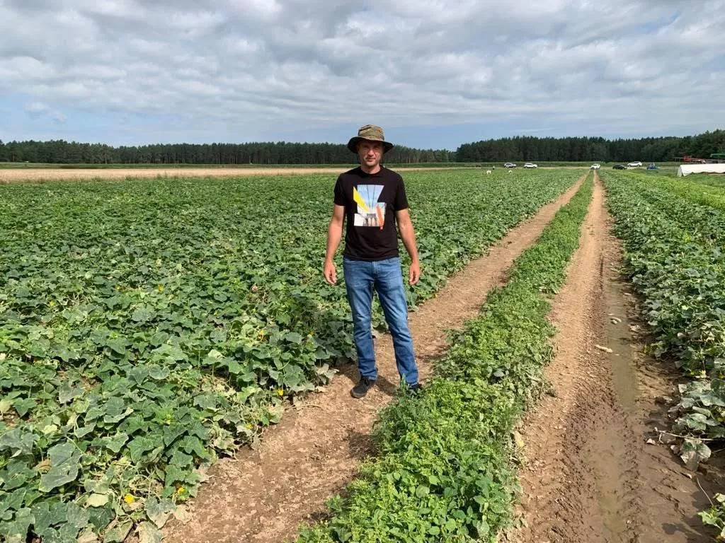 Przetwórnia dawała 3 zł/kg. Rolnik podjął decyzję: „Zapraszam na samozbiory”