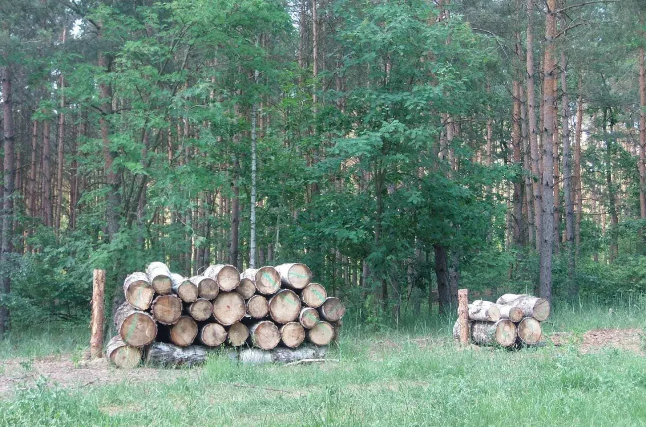 Rolnik ma drewno za płotem, ale musi je kupić. Izba chce zmiany prawa