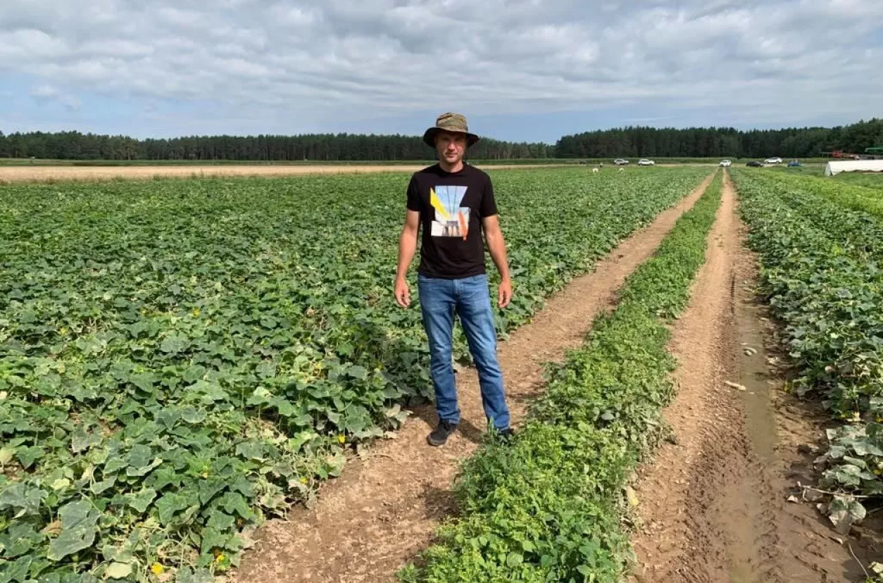Przetwórnia dawała 3 zł/kg. Rolnik podjął decyzję: „Zapraszam na samozbiory”