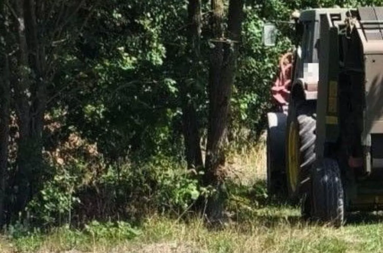 Śmiertelny wypadek podczas żniw. Ciągnik najechał na 70-latka