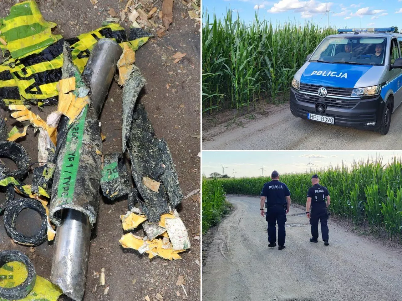 ”Złote kolby” to koszmar rolników. Policja patroluje pola kukurydzy