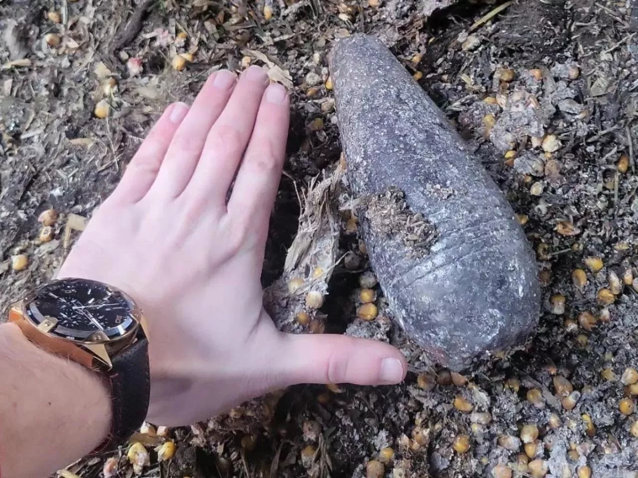 Rolnik znalazł granat na polu. Na miejsce wezwano saperów