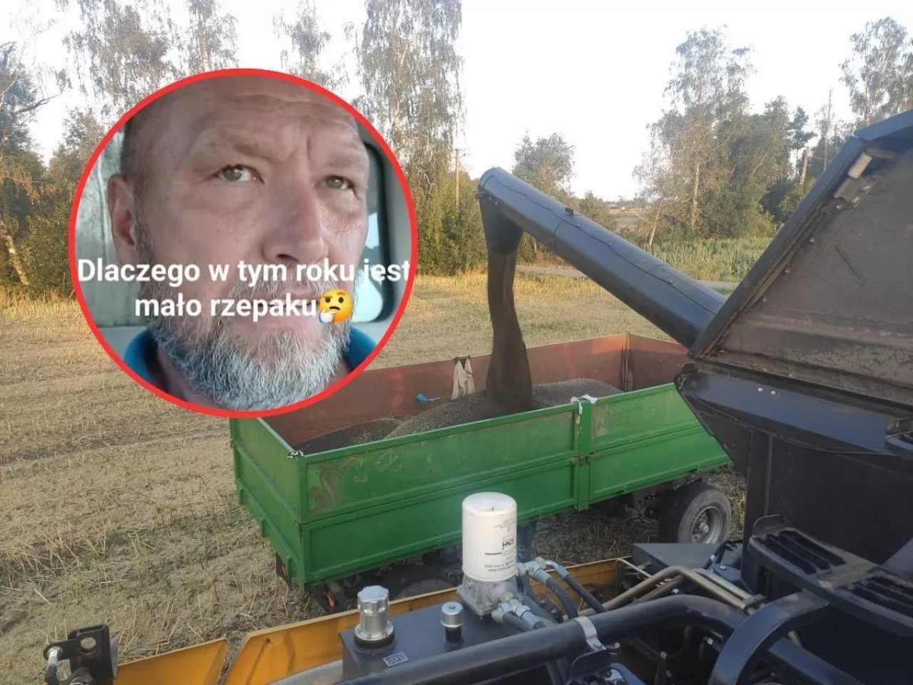 żniwa rzepaku, w kółku twarz rolnika Krzysztofa Piecha