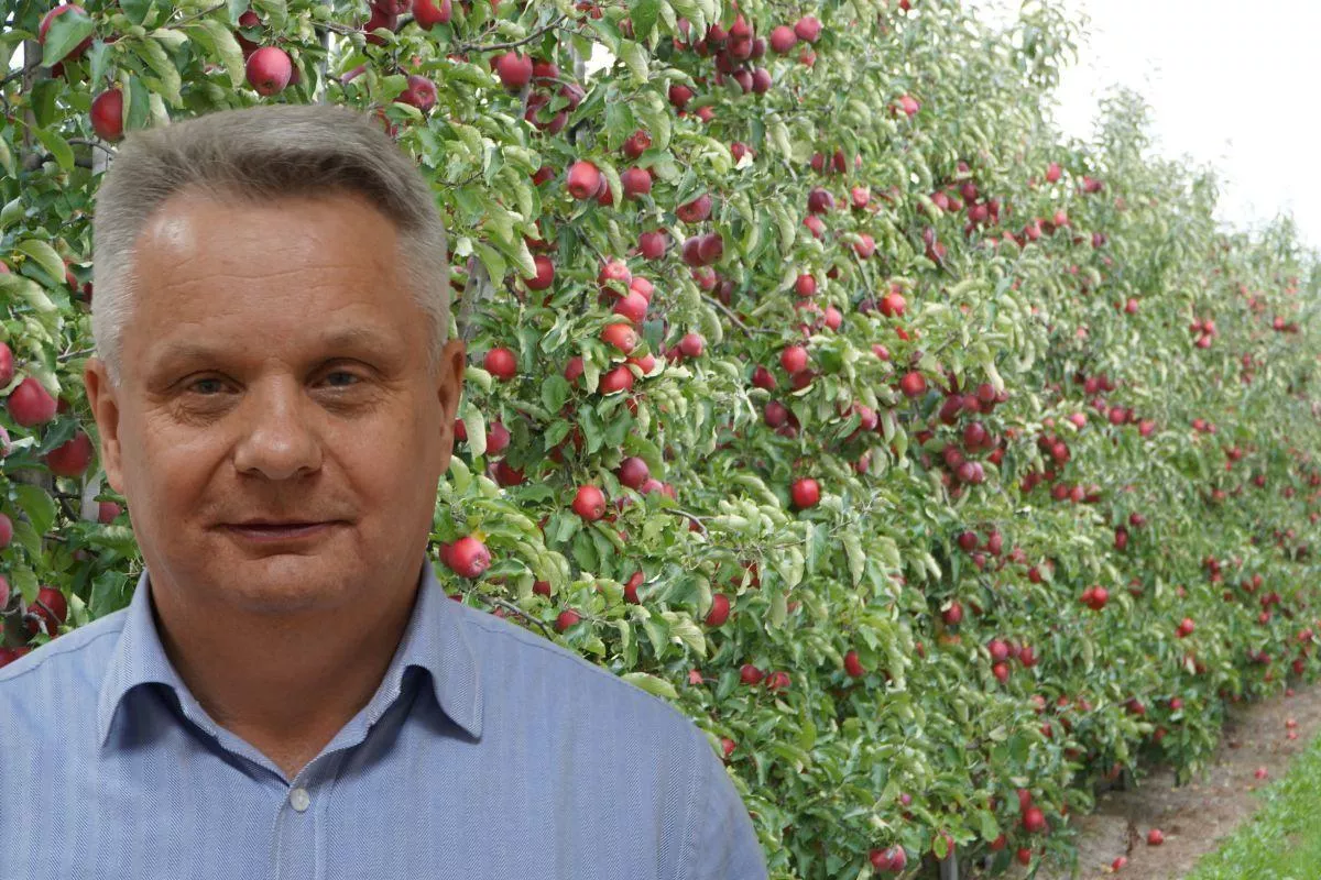 Polskie jabłka dostały unijną ochronę. Mają trafić do segmentu premium