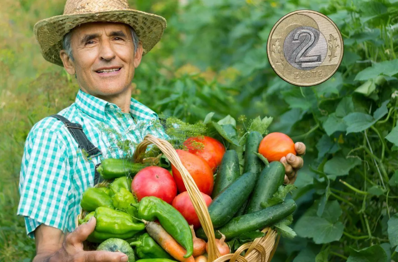 40 lat składek i najniższa emerytura? Rolnicy chcą połączyć KRUS i ZUS