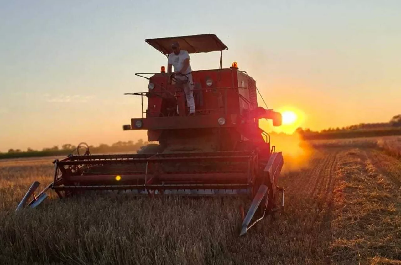 Romantyczne żniwa? Tylko z daleka