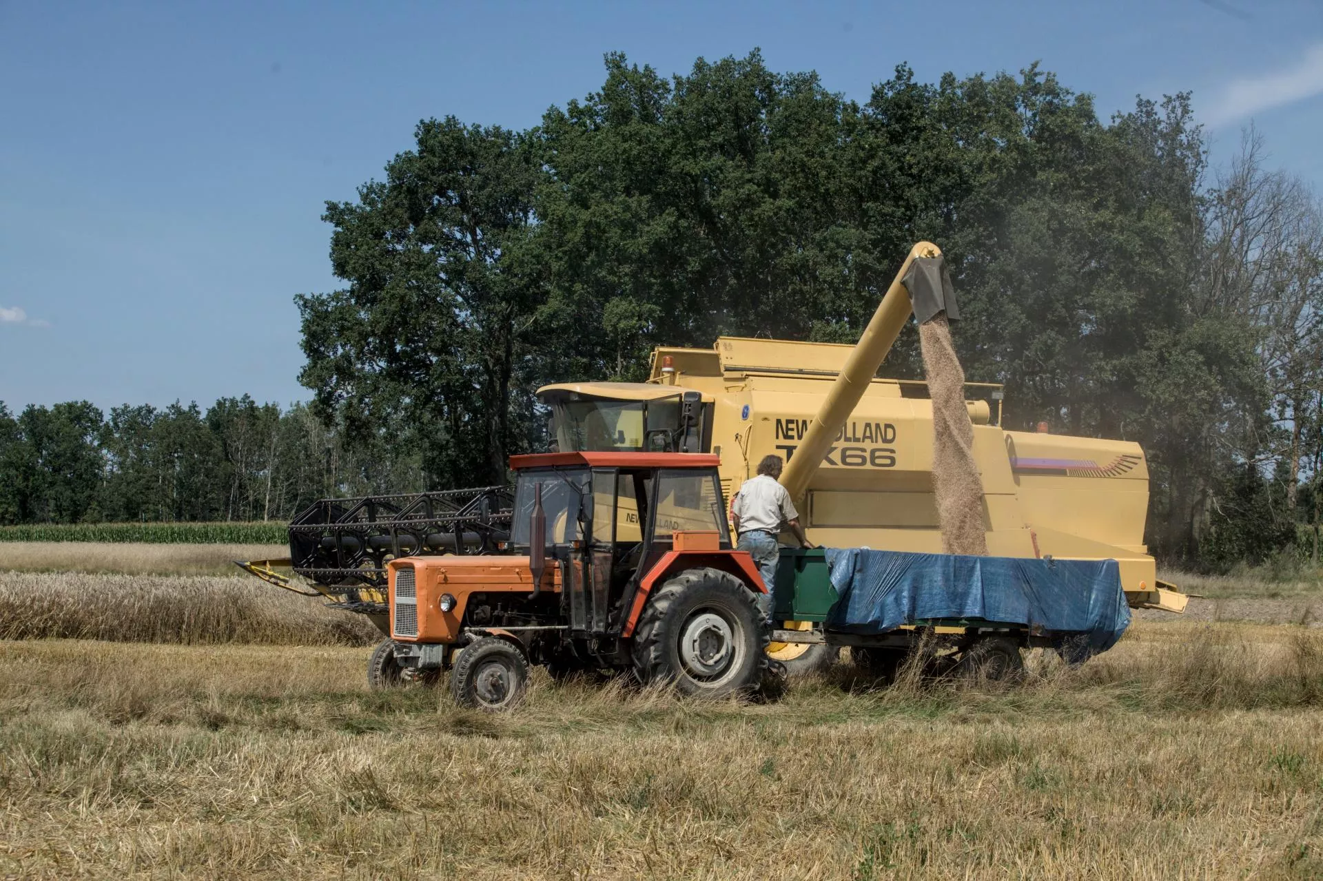Najgroźniejszy wróg podczas żniw? Rolnicy muszą uważać