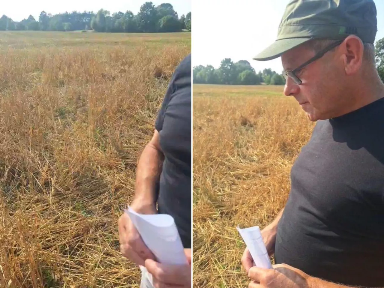 Szkody łowieckie200 zł za szkody w 2,5 ha owsa? Rolnik grzmi: ”To jest śmiech”