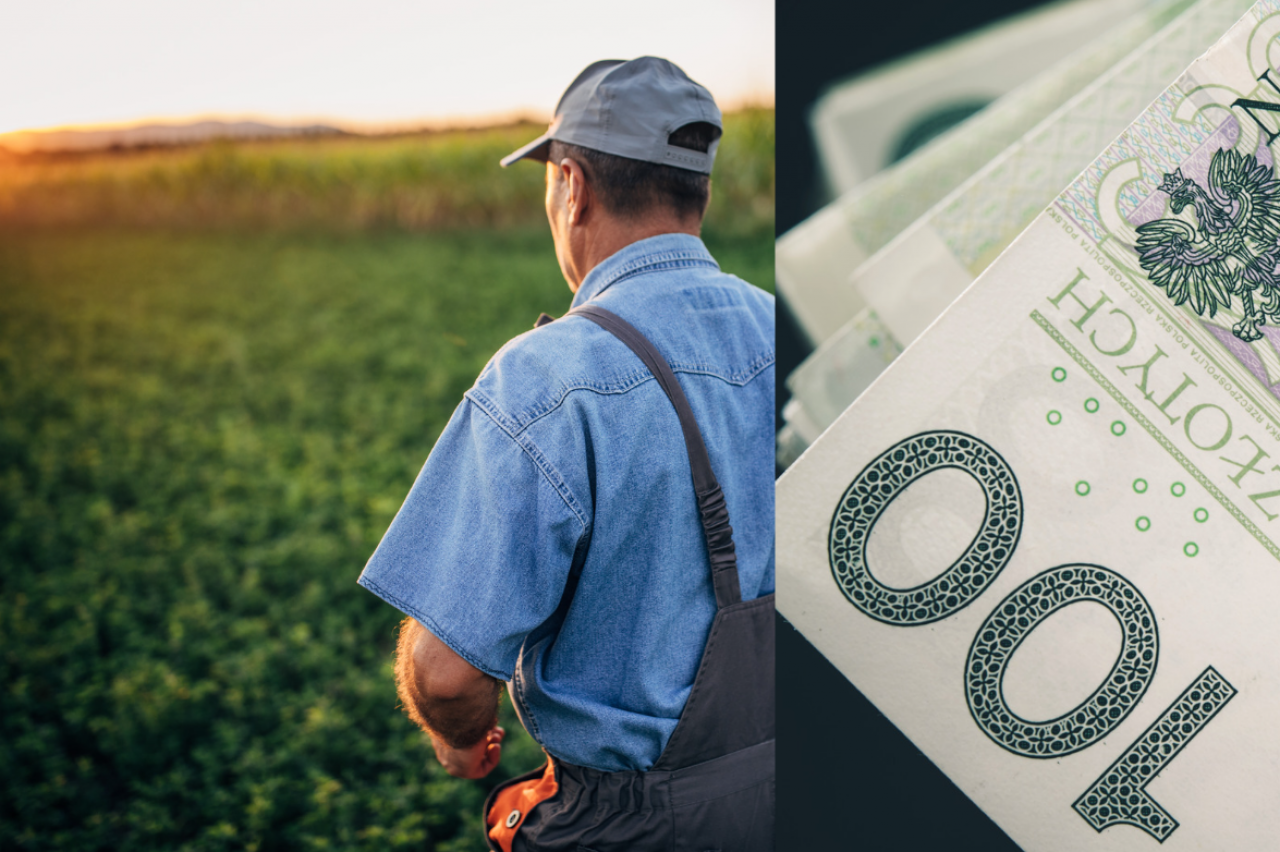 rolnik nstojący tyłem na plu, po prawej banknoty polskie