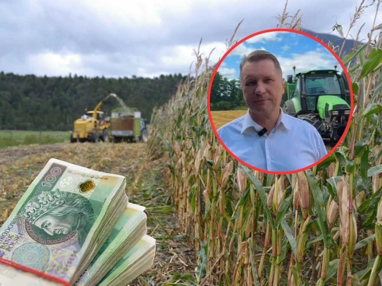 pole, żniwa, banknoty po lewej na dole, w kółku twarz Przemysława Czarnka