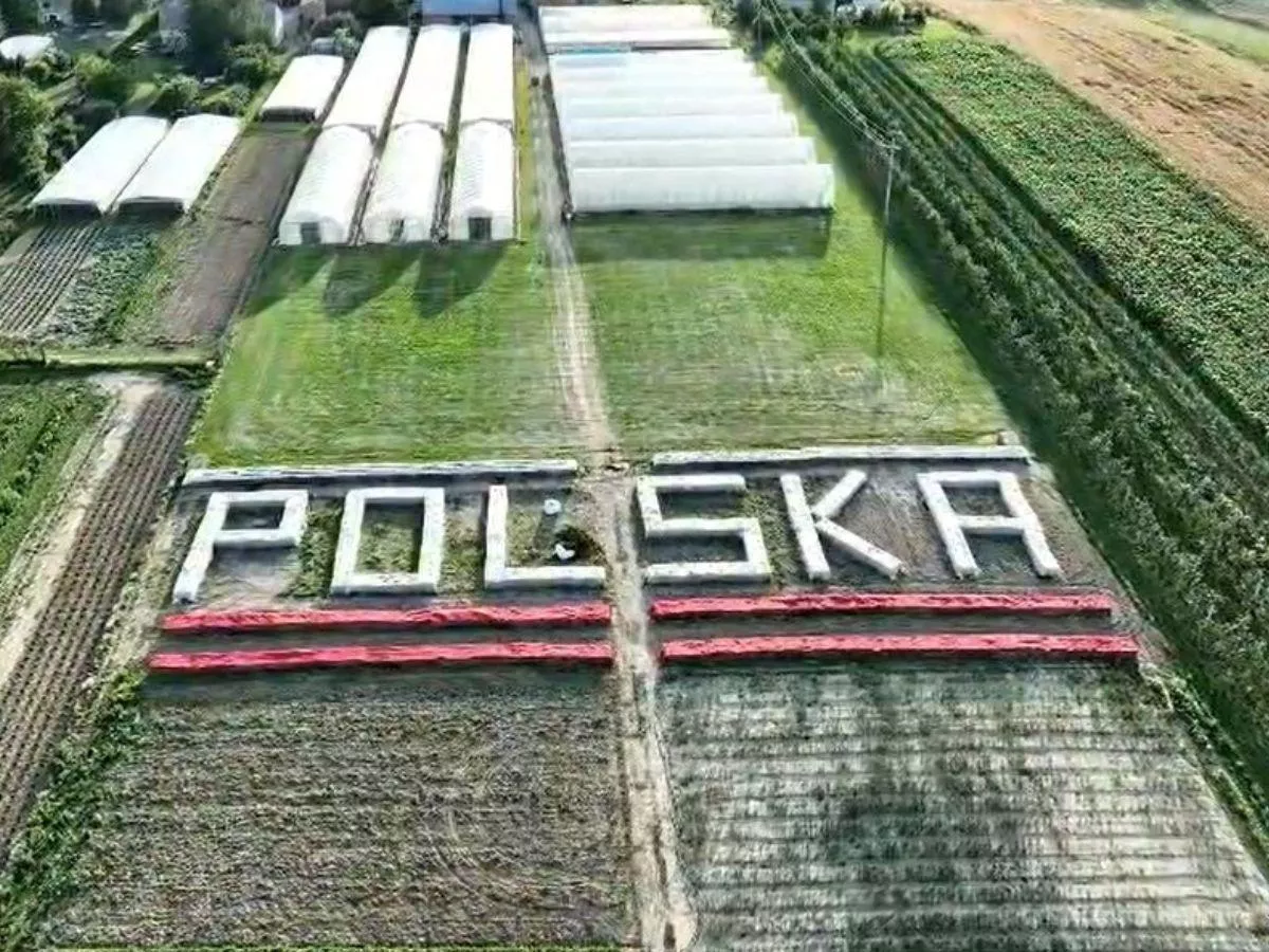 „Ceną się nie przebijemy”. Rolnik organizuje niezwykłe forum na polu