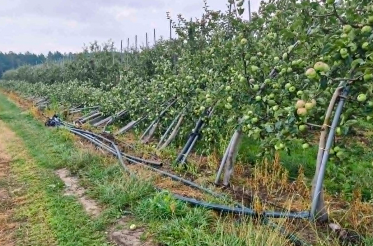 Potężne gradobicie w zagłębiu grójeckim. Sady zniszczone niemal w 100% [ZDJĘCIA]