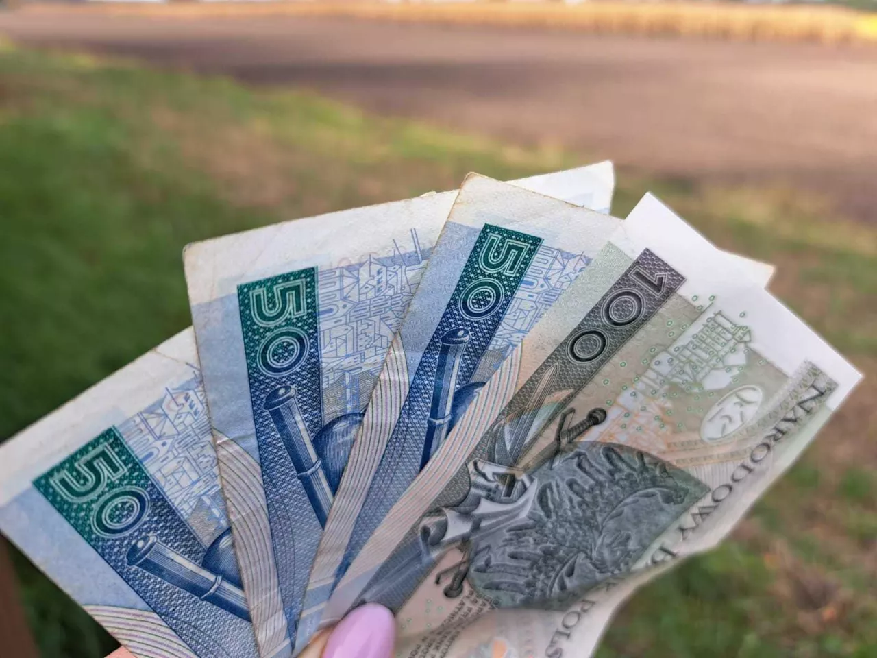 polskie banknoty