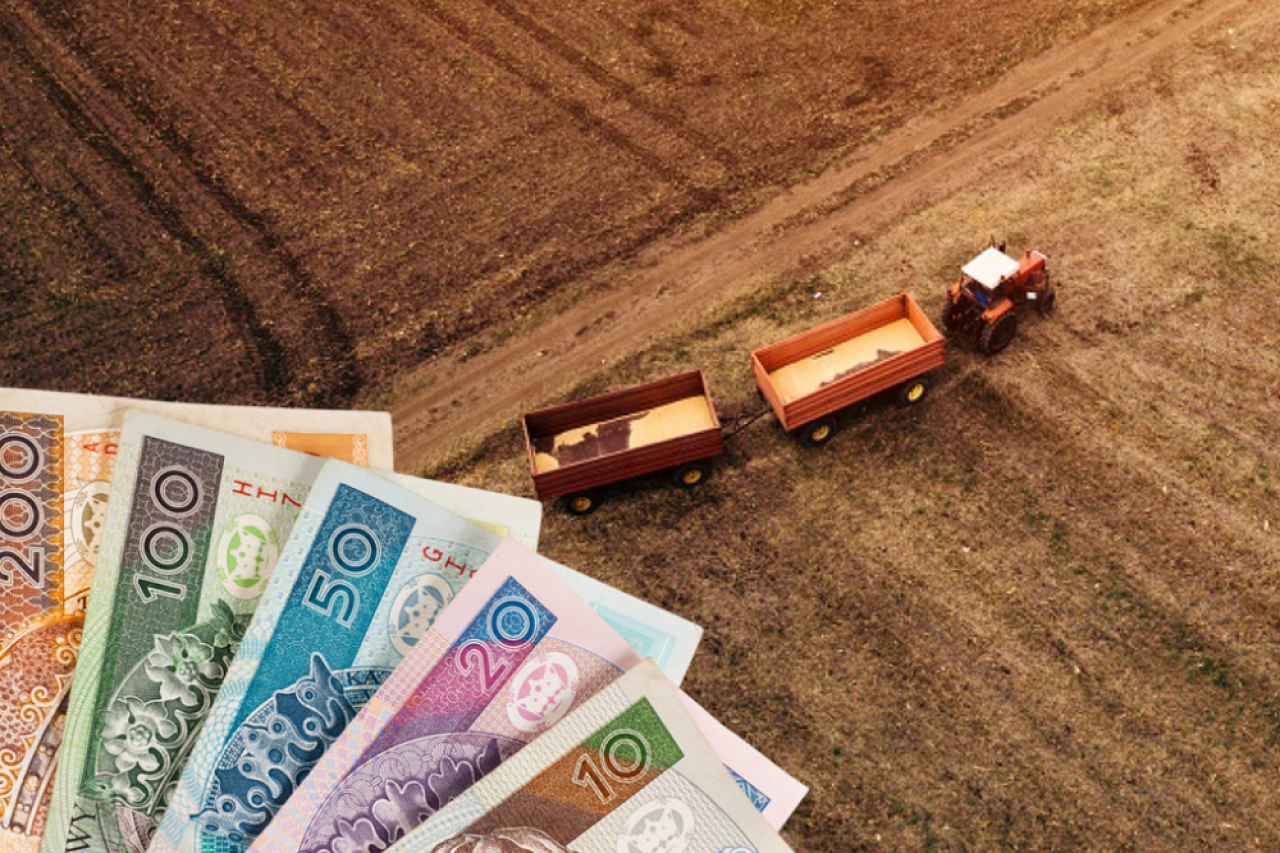 pole widziane z lotu ptaka, po lewej polskie banknoty 