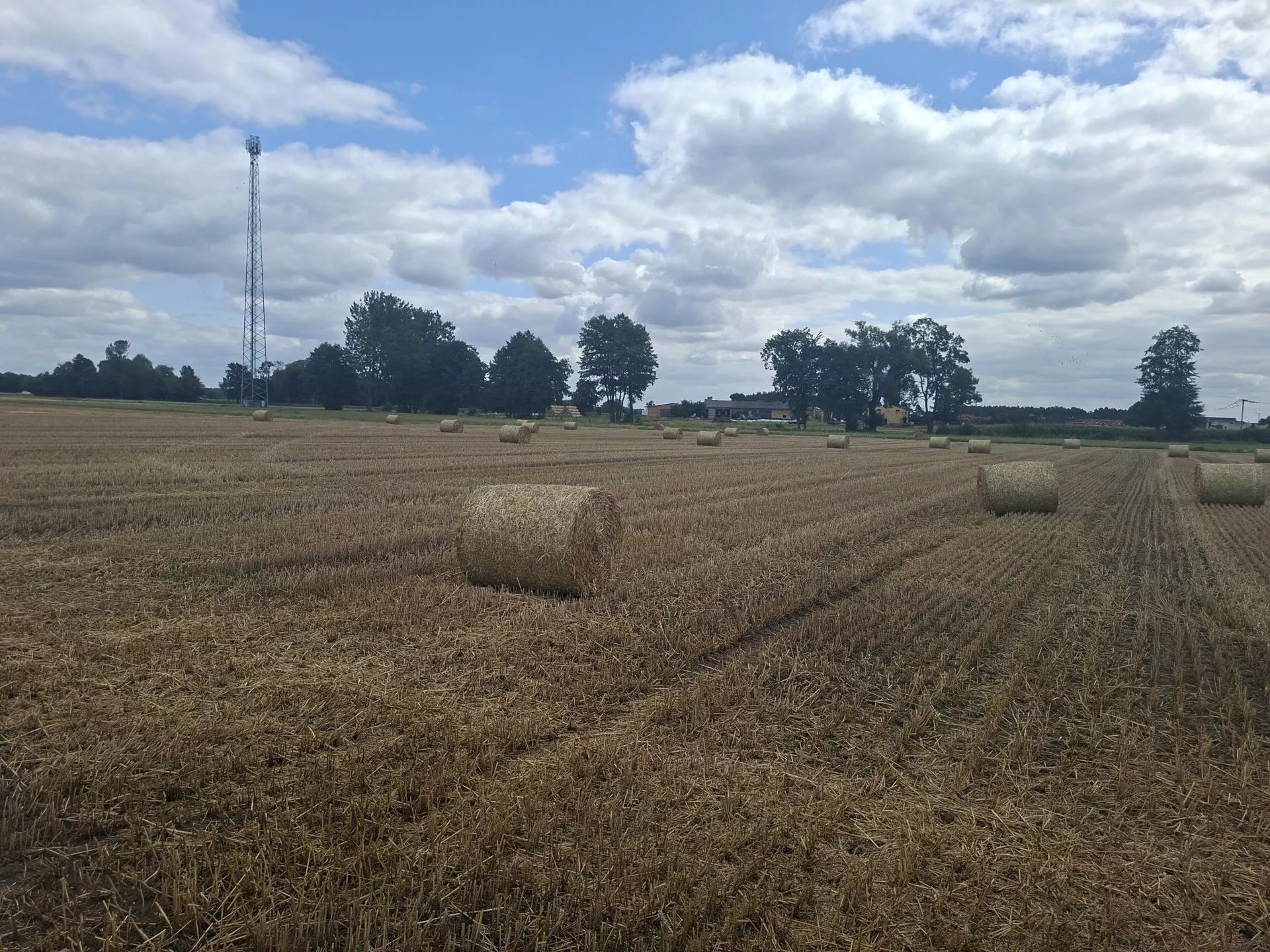 Za ile sprzedano ziemię w Twojej okolicy? Teraz sprawdzisz to za darmo
