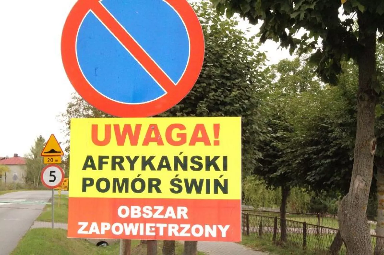 ASF wykryto w kolejnym gospodarstwie