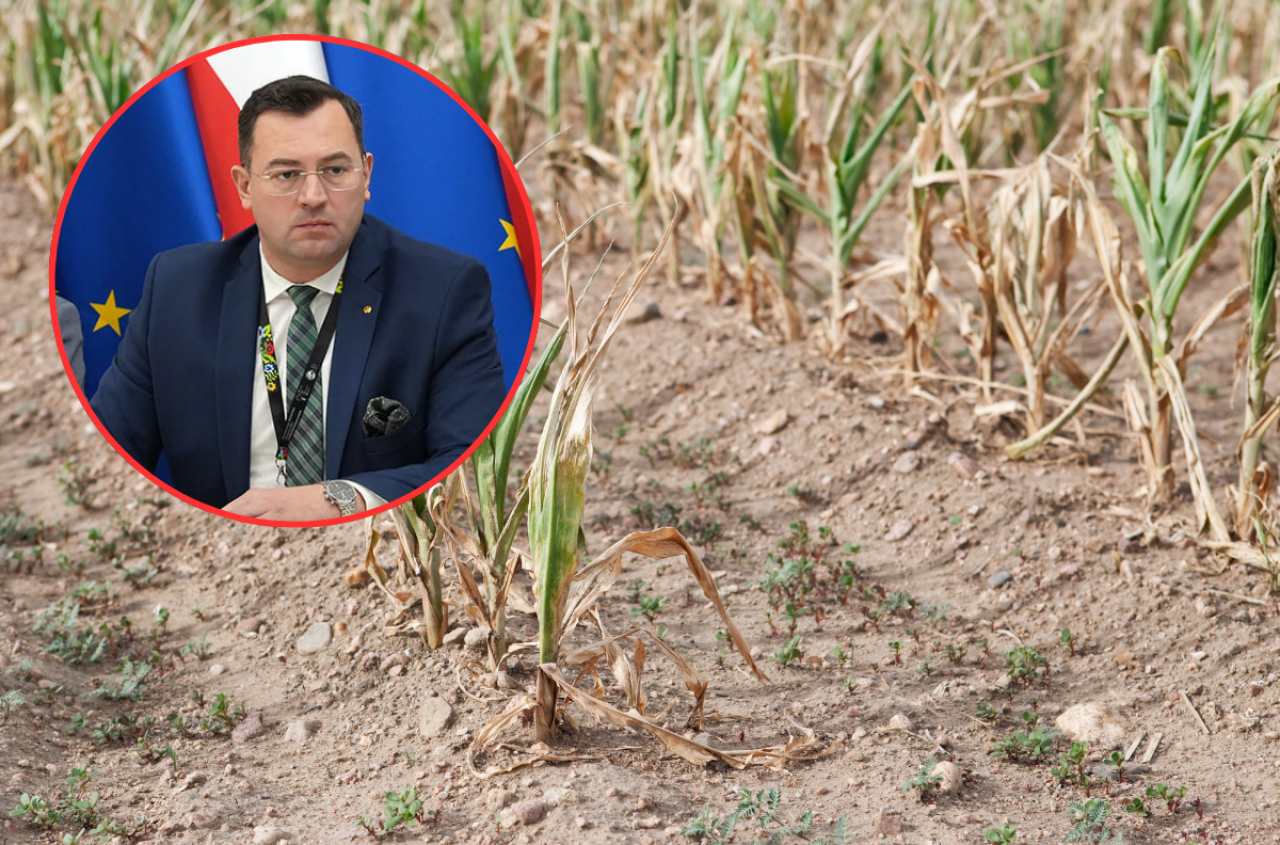 Susza będzie liczona inaczej. Co z pomocą dla rolników? Minister odpowiada