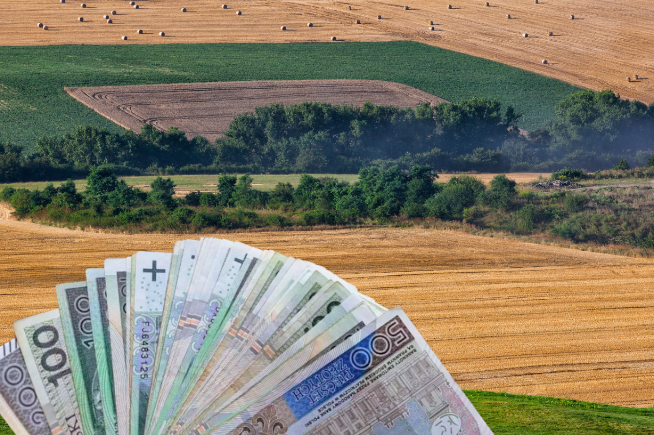 pole, na dole polskie banknoty