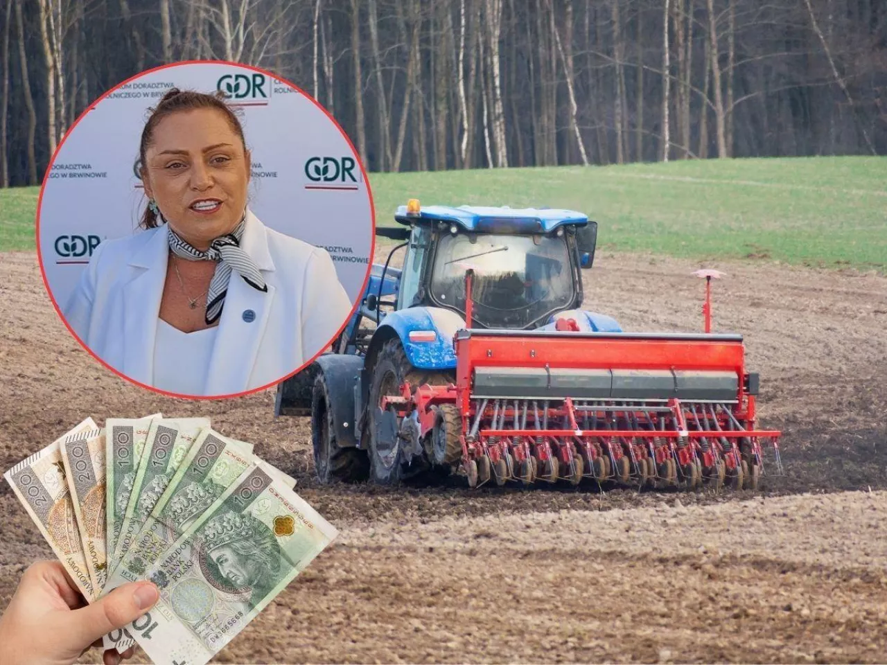 Zaliczki dopłat bezpośrednich 