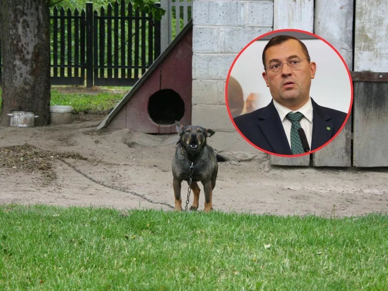 Dopłaty ARiMR na kojce dla psów. Nowy program dla rolników niebawem ruszy