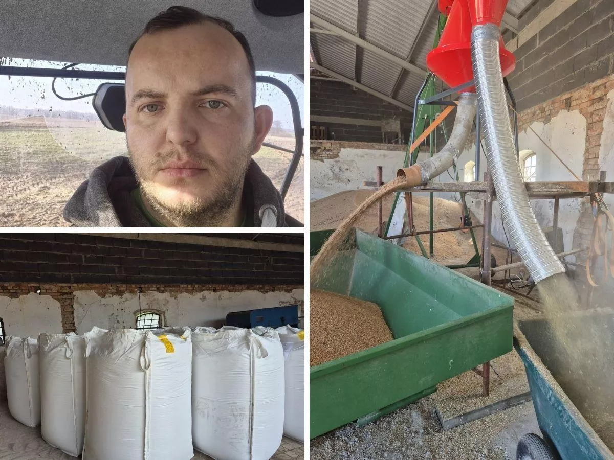 Ma 100 ton ekologicznego zboża. Wywiezie je do Holandii. „W Polsce nie ma komu sprzedać”