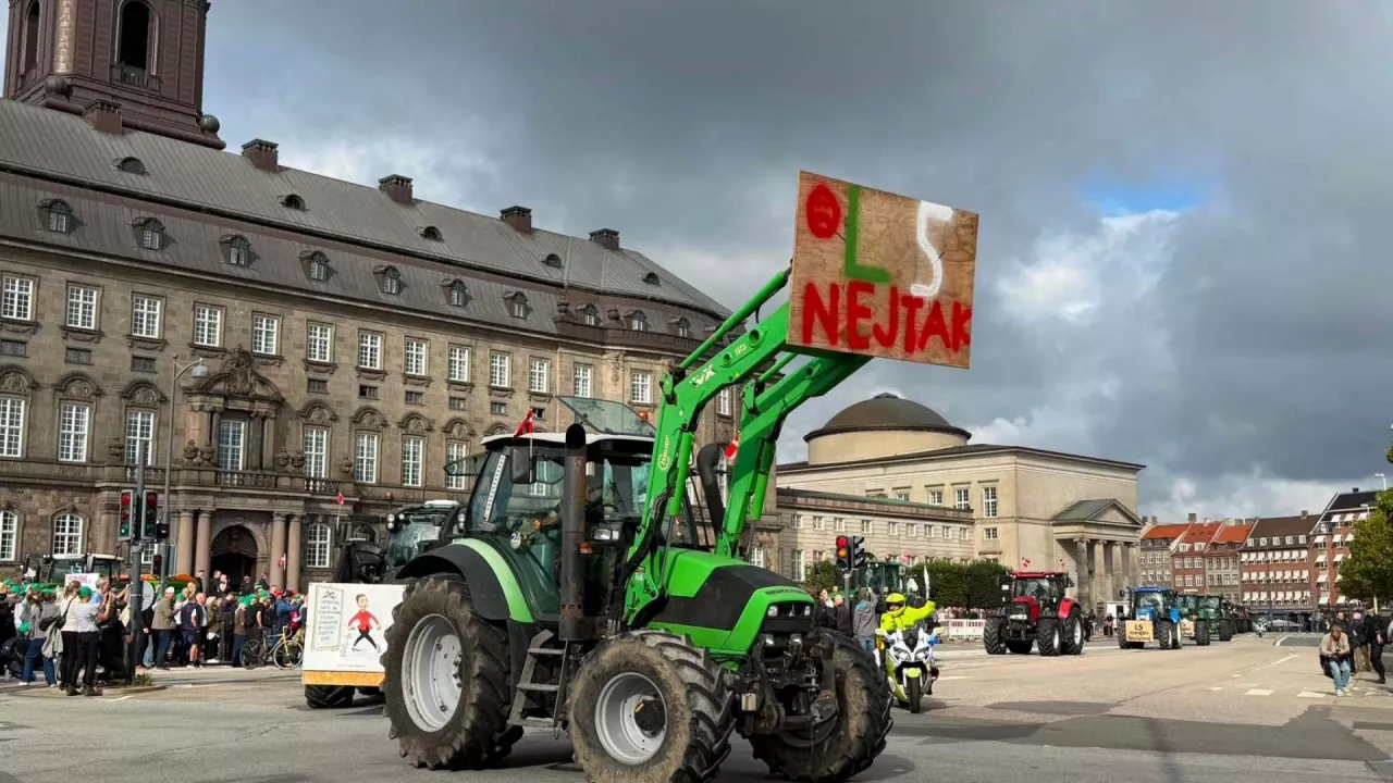 protest duńskich rolników